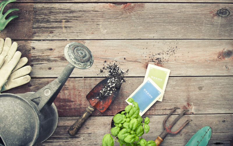 seasonal gardening tools
