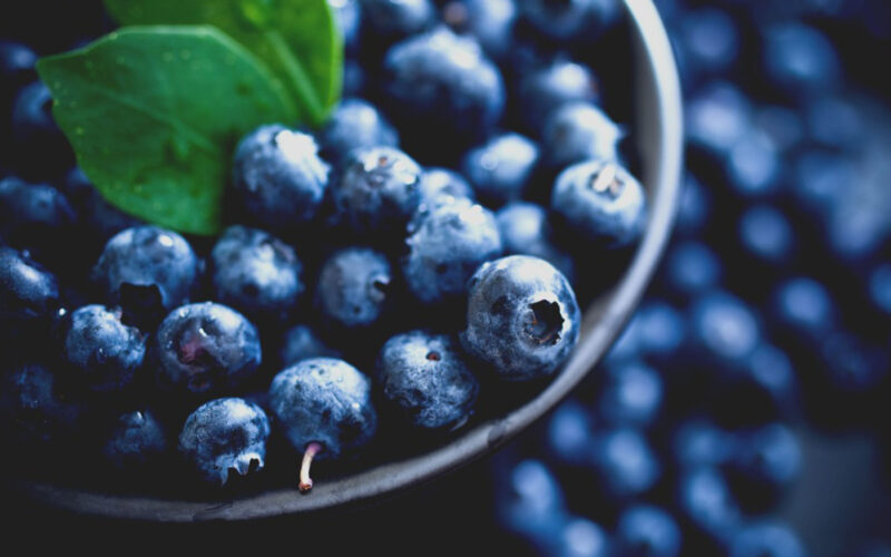 spring blueberry fruit in bowl