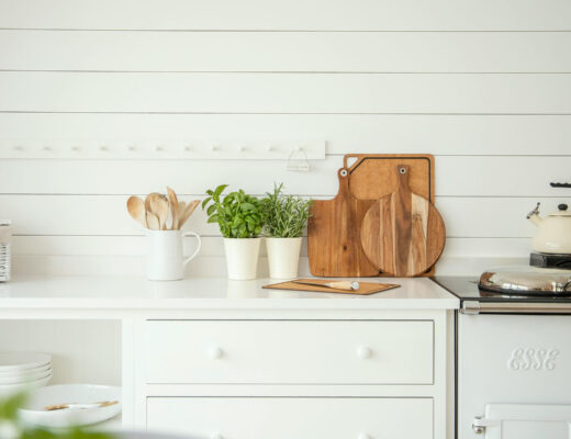 vegetables growing in pots on a kitchen counter