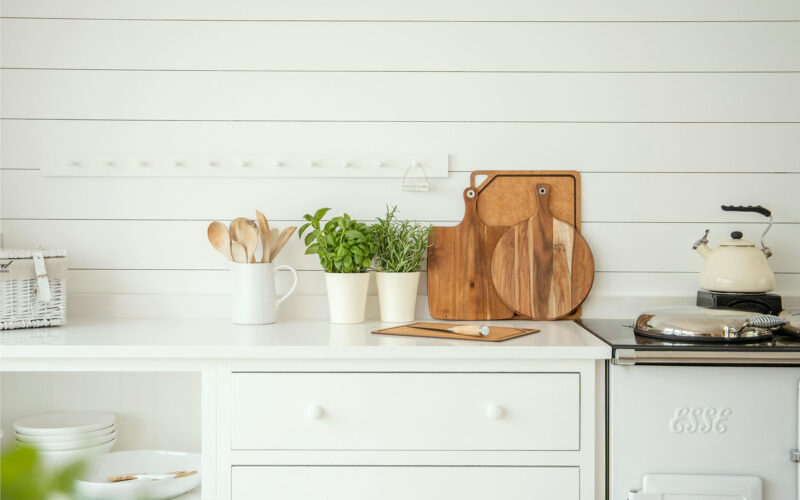 vegetables growing in pots on a kitchen counter