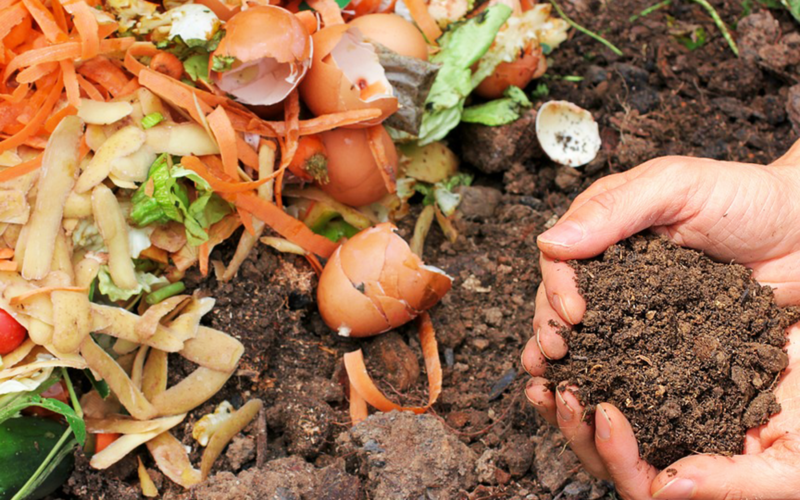 vegetables composting into soil for garden